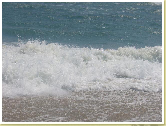 June2007 041